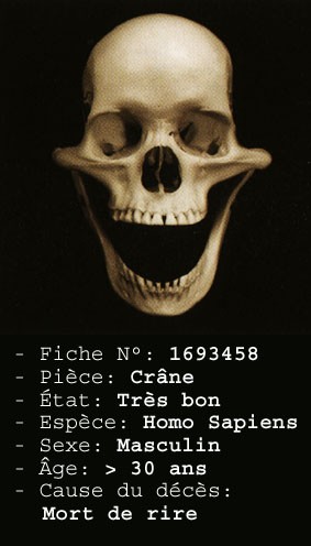 mort de rire 